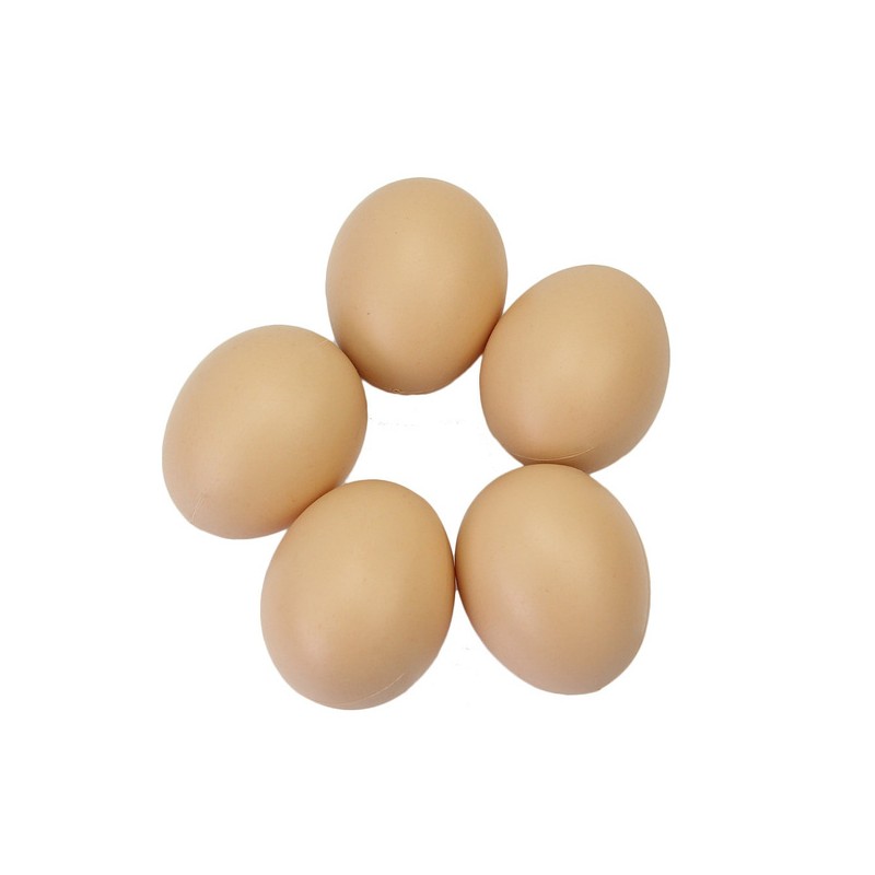 NRRN Lot de 5 œufs en plastique pour aider à pondre des œufs imitation poulet/volaille/œuf encourage la ponte ou empêche la nourriture des œufs